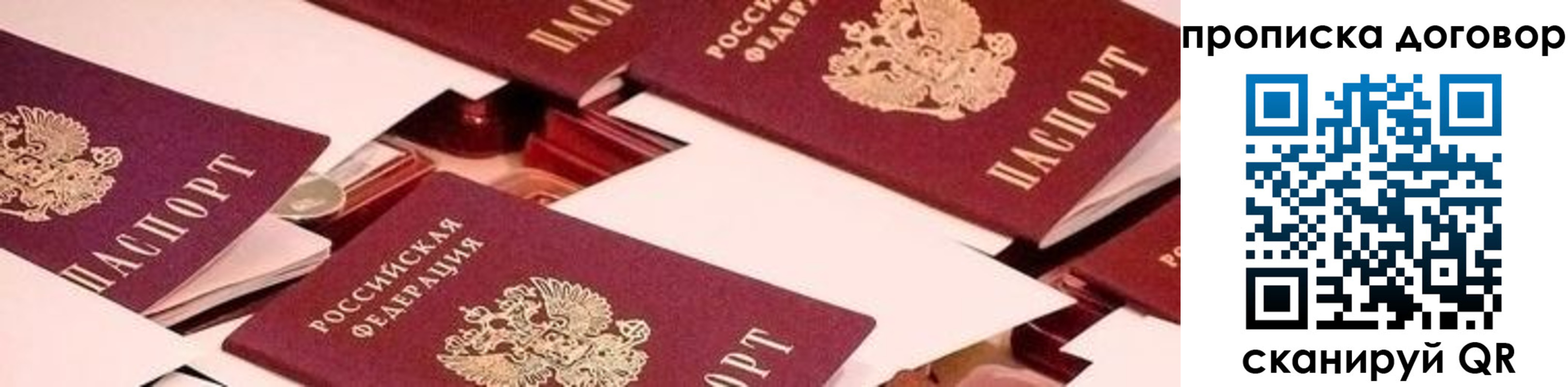 прописка 2025 в Курске